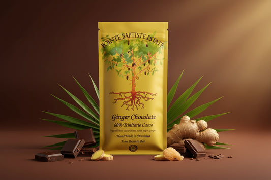 Dark Chocolate110g