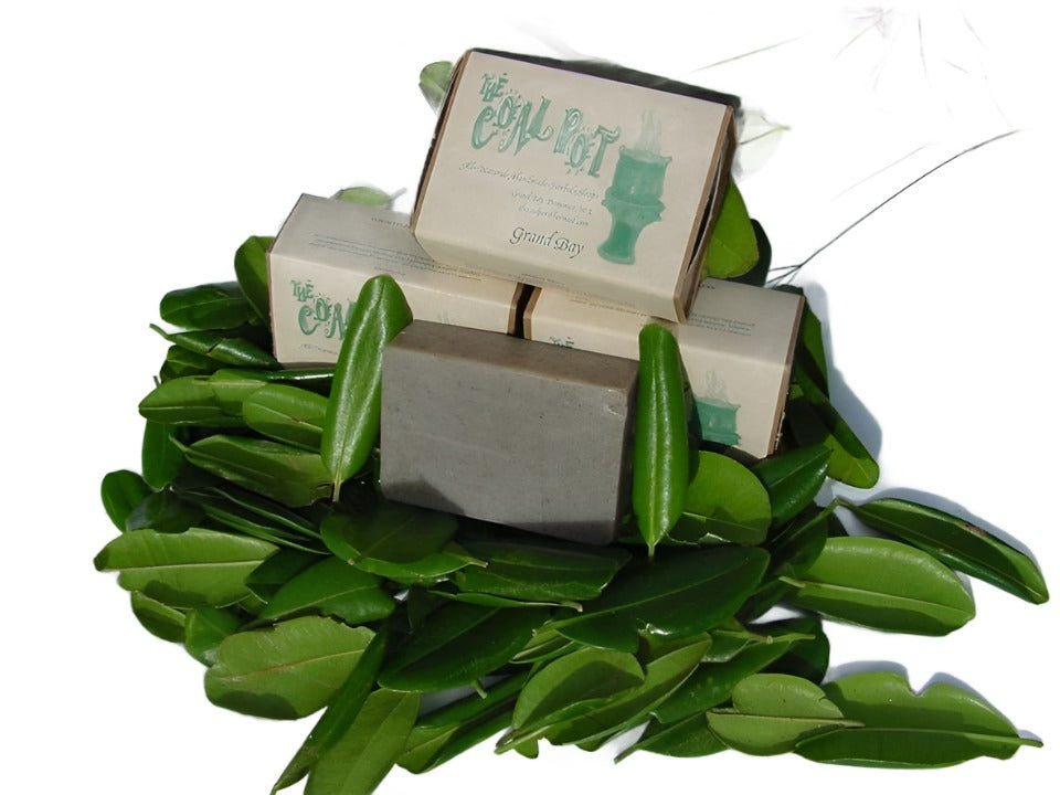 Bath Soaps/Coal Pot freeshipping - Buydominicaonline.com