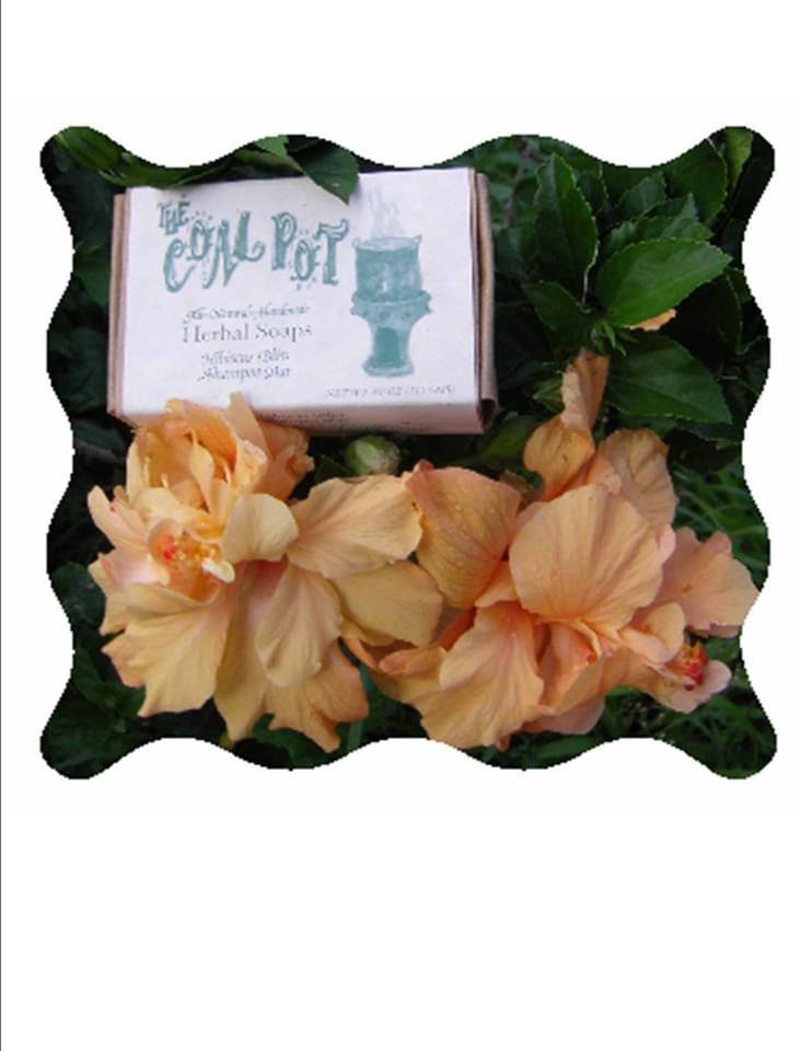 Bath Soaps/Coal Pot freeshipping - Buydominicaonline.com