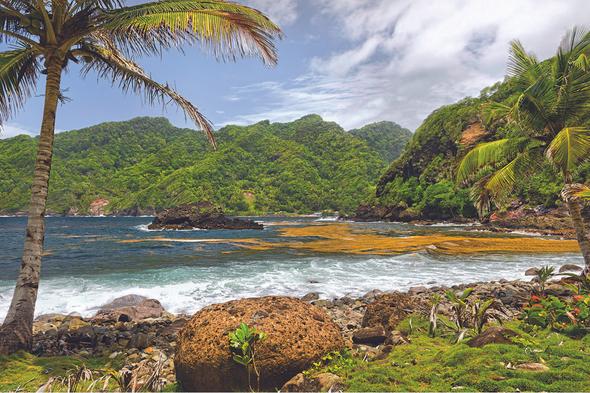 Dominica Art Photography | Derek Art Photography | Buydominicaonline