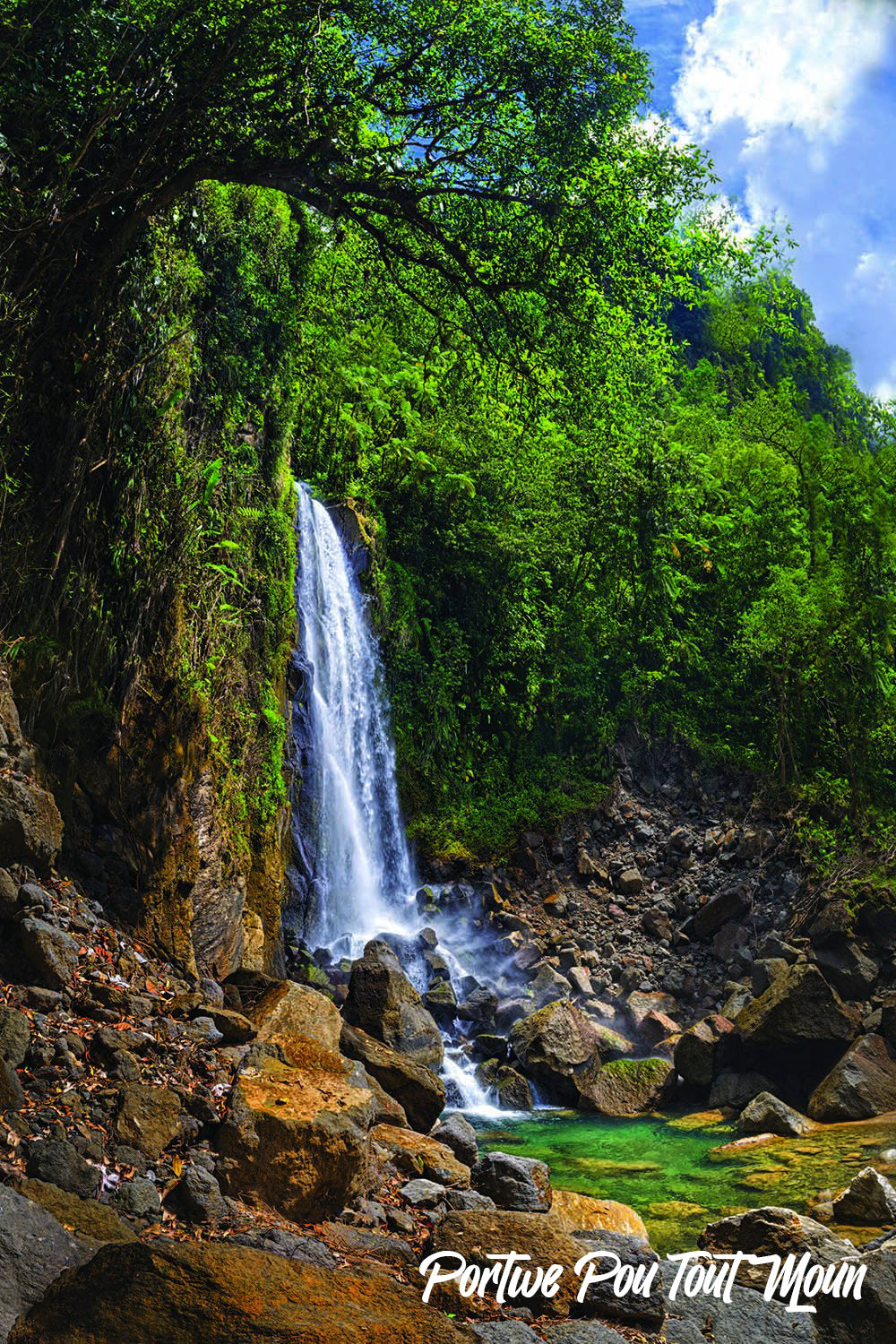 Dominica Art Photography | Derek Art Photography | Buydominicaonline
