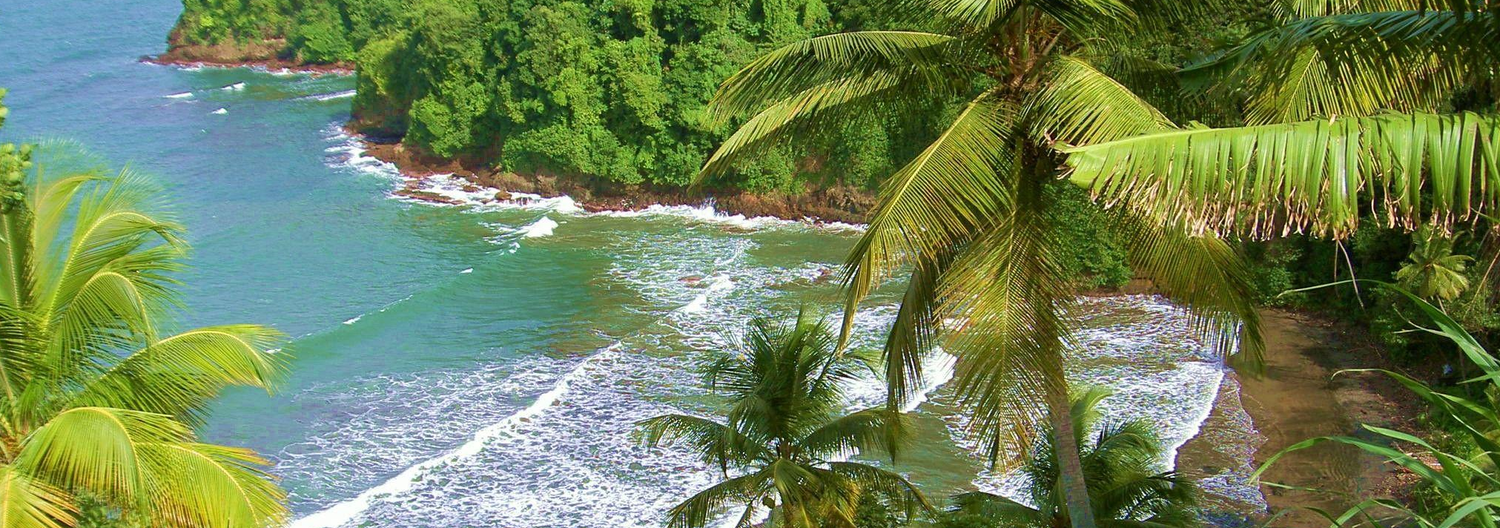 Buy Dominica Online - Buy Authentic Dominica Products