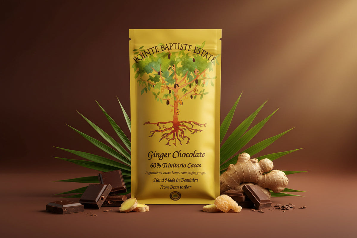 Dark Chocolate110g
