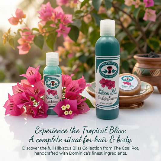 Bliss Shampoo and Conditioner/Coal Pot