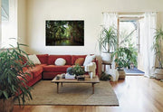 Dominica Art Photography / DEREK GALON freeshipping - Buydominicaonline.com