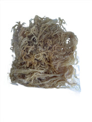 Dried Seamoss (Irish Moss) freeshipping - Buydominicaonline.com