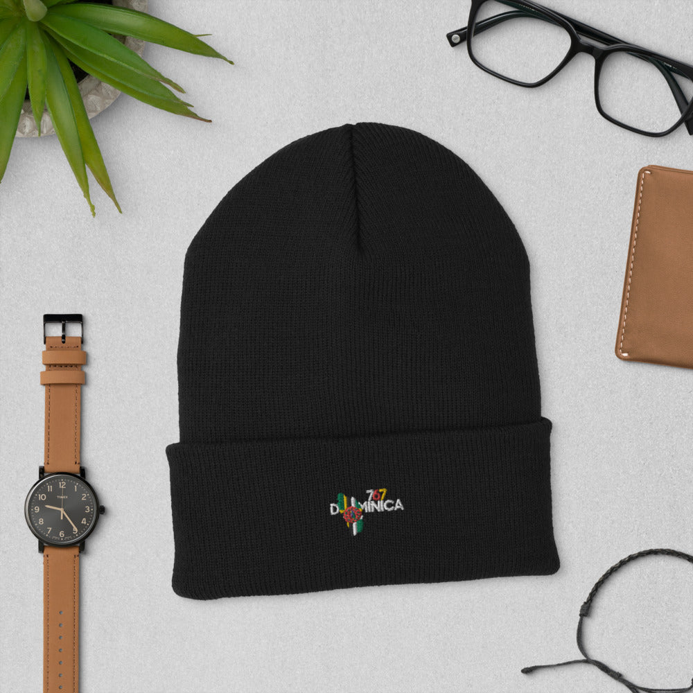 Dominica InspiredCuffed Beanie in black ribbed knit with a folded cuff and small colorful Dominica emblem