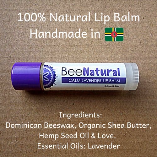 Bee Natural 100% Natural Lip Balm freeshipping - Buydominicaonline.com